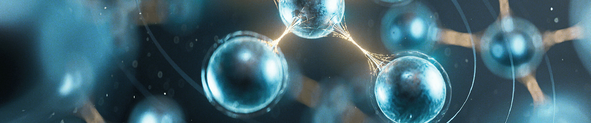 技術(shù)服務(wù)