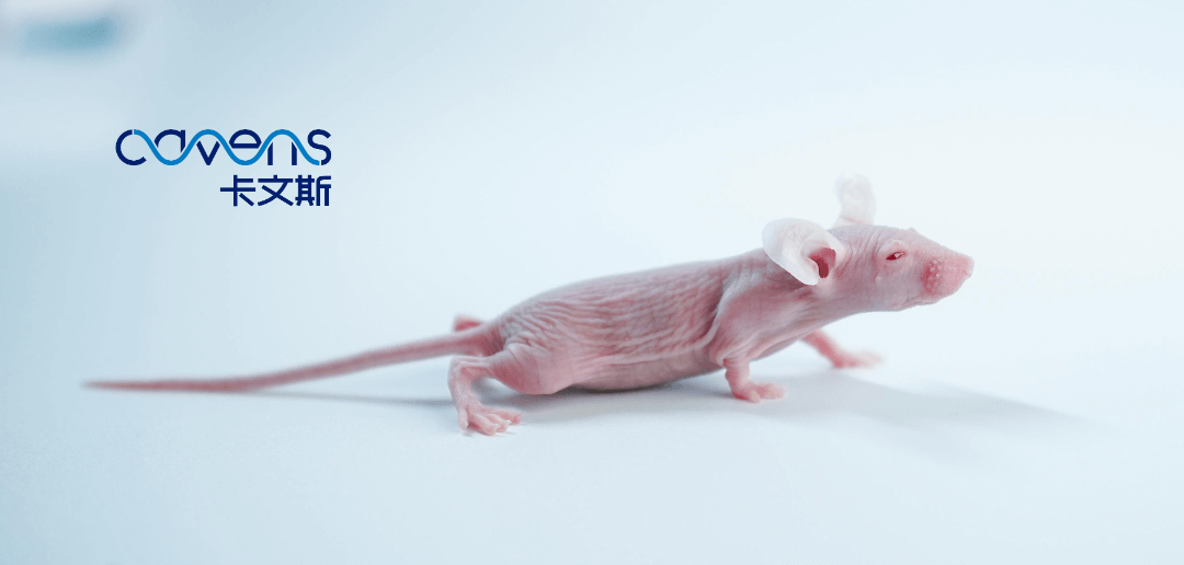 1708492552287497.png 103.png