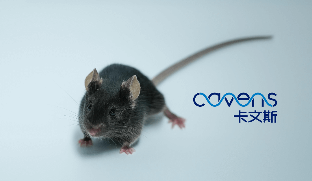 1708492560112029.png 111.png