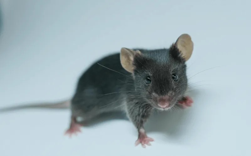 1760343627131857.jpg 1.jpg