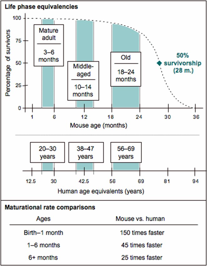 1760343693211109.jpg 2.jpg