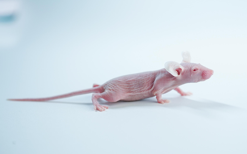 1761267512353459.png 圖片1.png