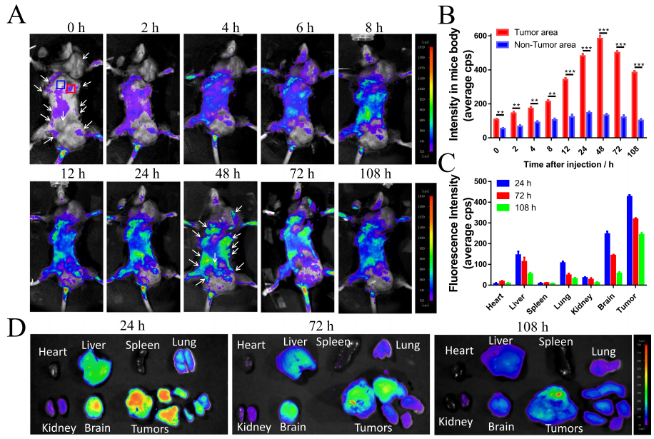 1761267801104445.png 圖片2.png