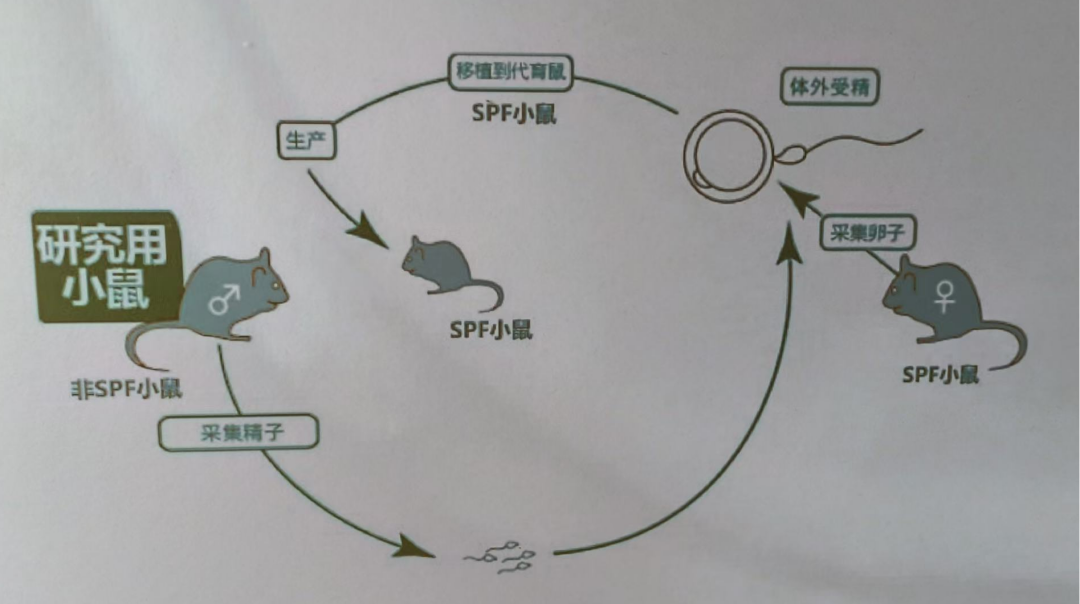 1761268062876329.png 圖片1(1).png