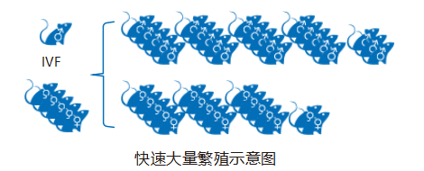 1761268093145485.png 圖片2.png