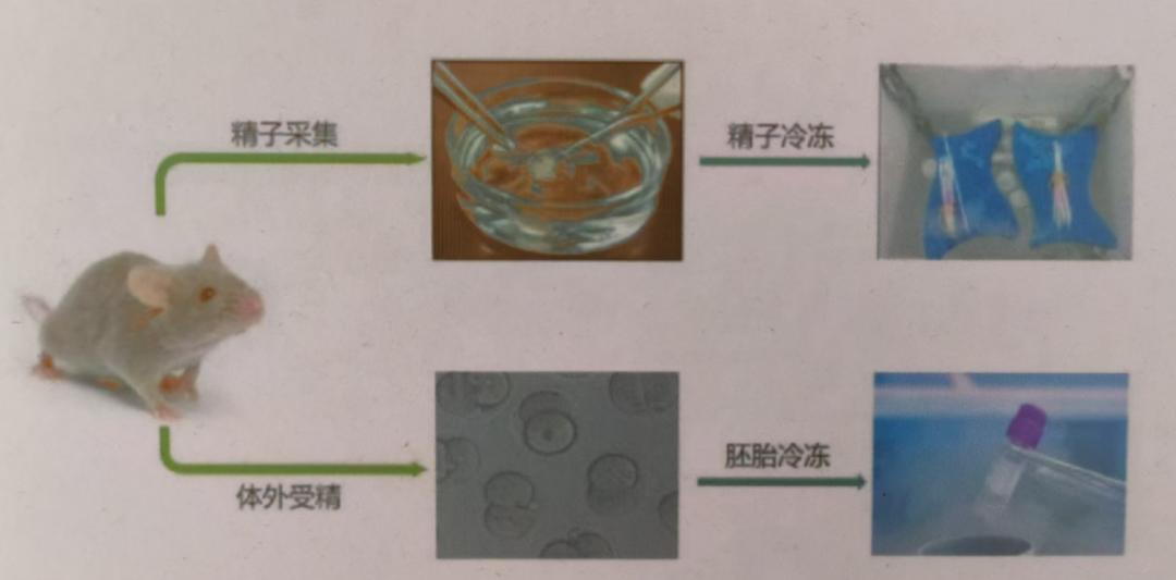 1761268158214529.jpg 圖片3.jpg