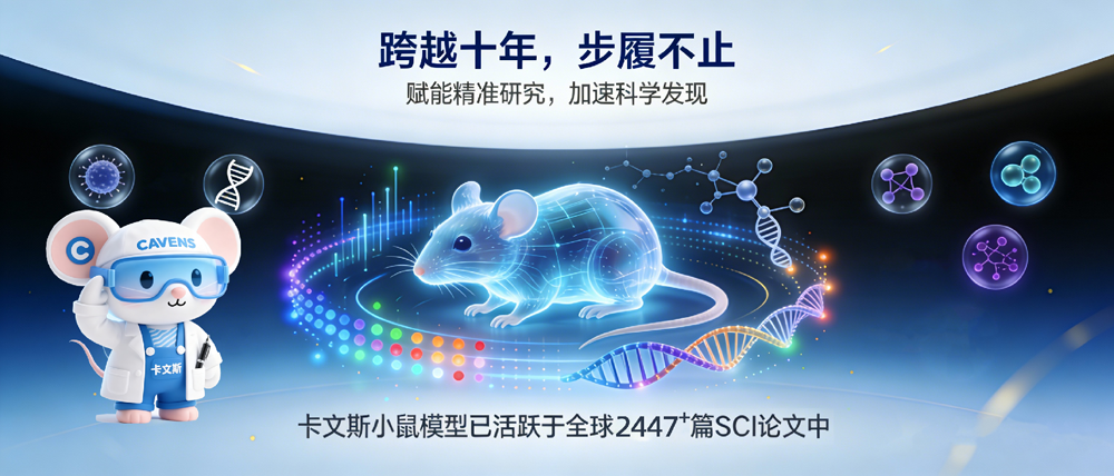 1767595592183160.png 0a3abc47-3b49-4c0d-a4e6-7039555f3e22.png