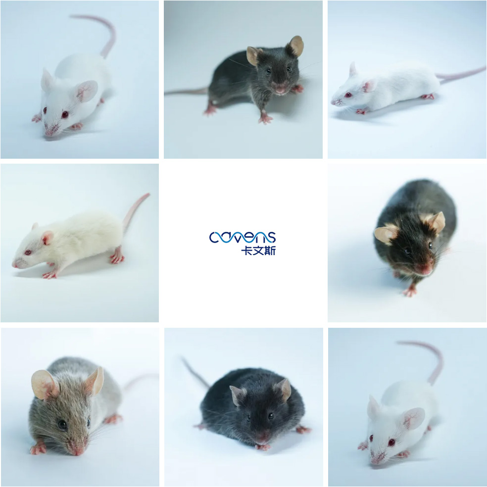 1767596588324912.jpg 未標(biāo)題-1.jpg